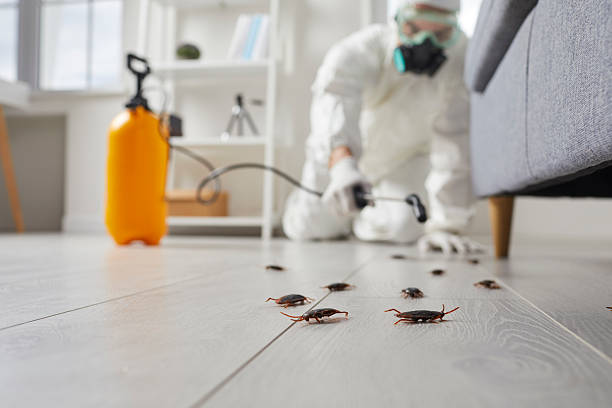 Commercial Rodent Management in El Reno